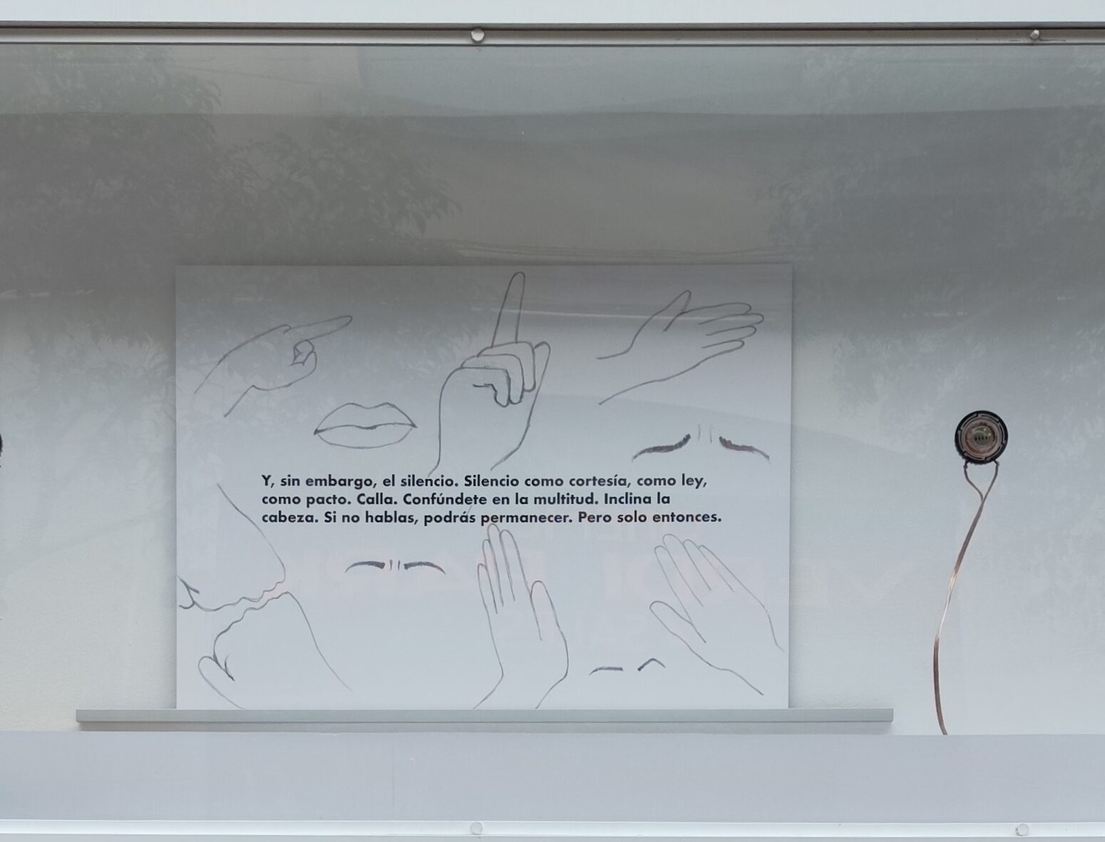 Mayssa Fattouh - Vitrina
